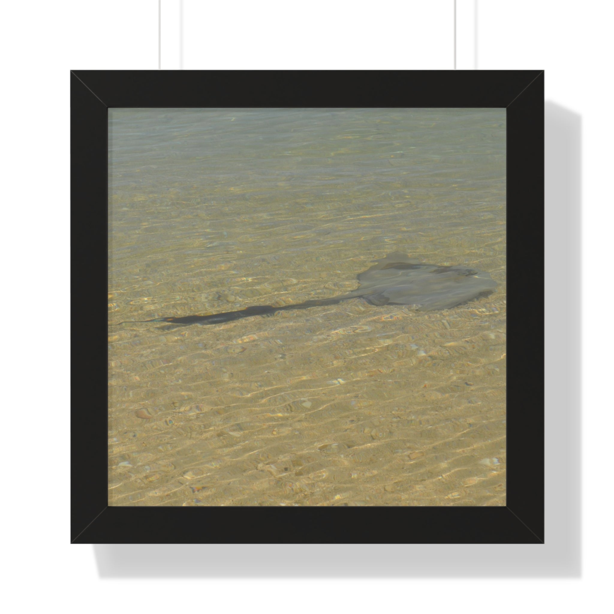 Tranquil Stingray Framed Horizontal Poster - Ocean Wall Art for Beach Lovers